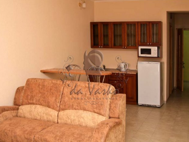 Апартаменты-студия с мини-кухней, однокомнатные. Отель "Da Vasko". Семидворье