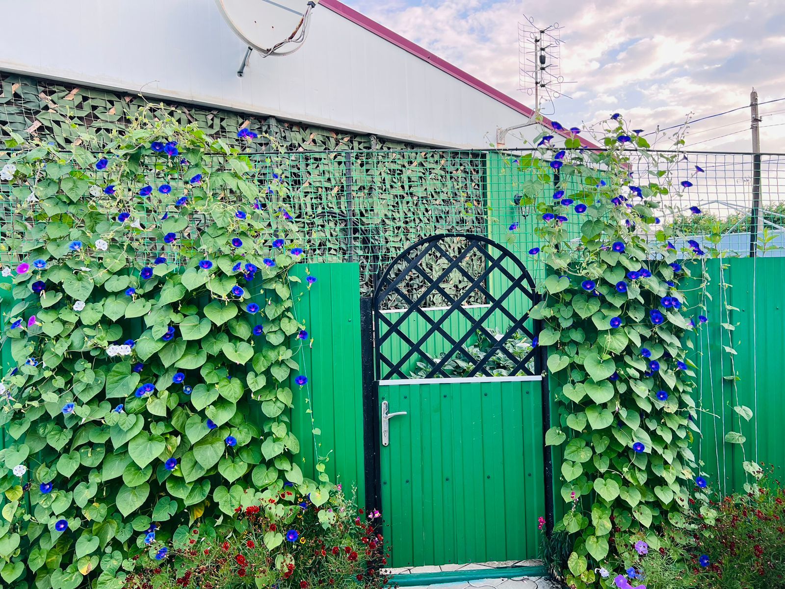 . Дом под ключ На Гагарина. Кучугуры