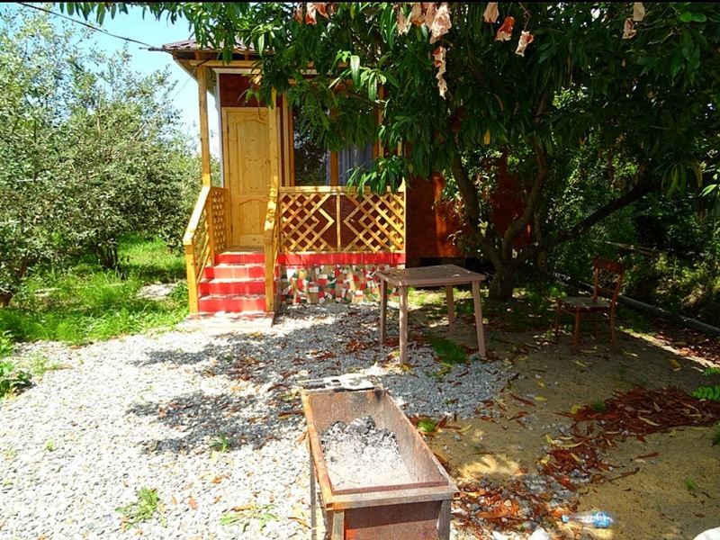 . Гостевой дом "Инь-Янь". Пицунда