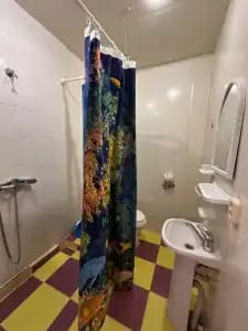 Трёхместный стандарт . Гостевой дом Фортуна. Анапа