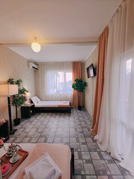 2-х местный номер-студия с мини-кухней . Парк-отель Благовещенка. Благовещенская