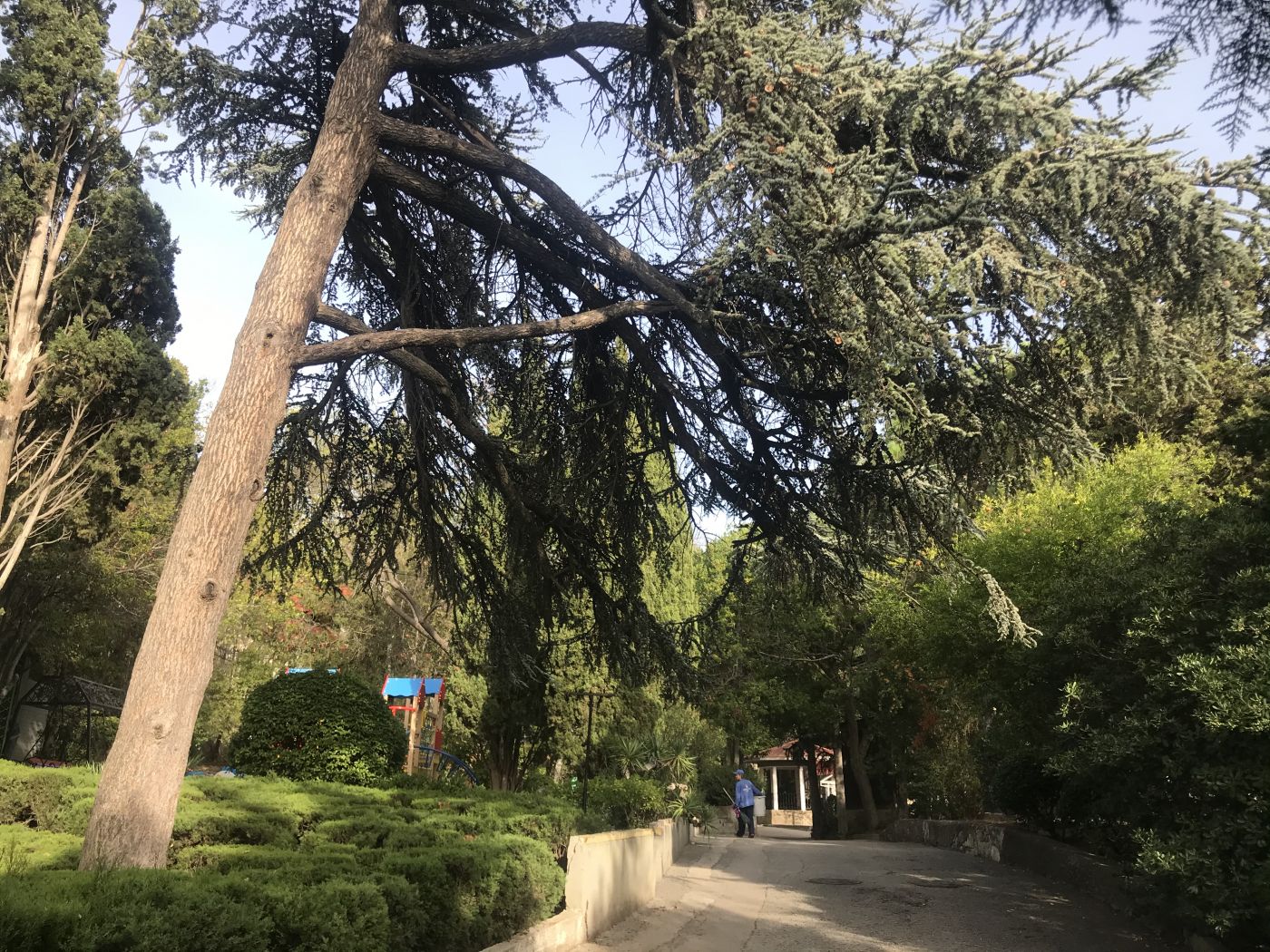 . Квартира в многоквартирном доме Отрадный Берег. Отрадное