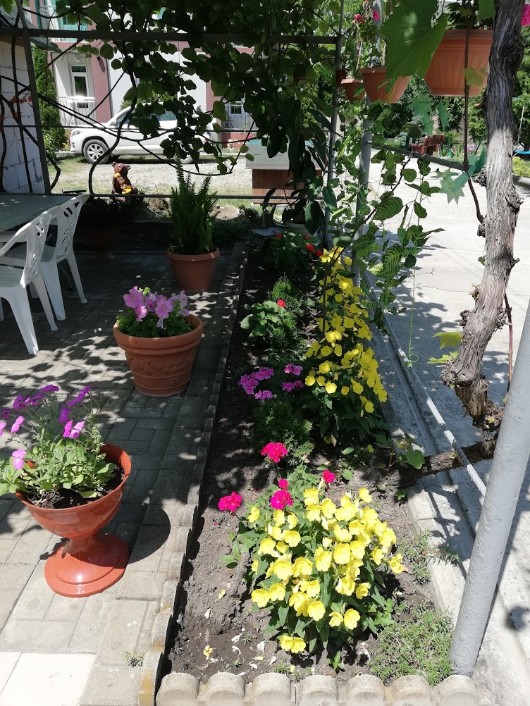 . Гостевой дом "Сибирячка". Ольгинка