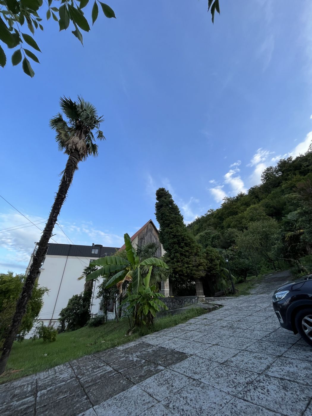 . Гостевой дом "Сосновый рай" . Гагра