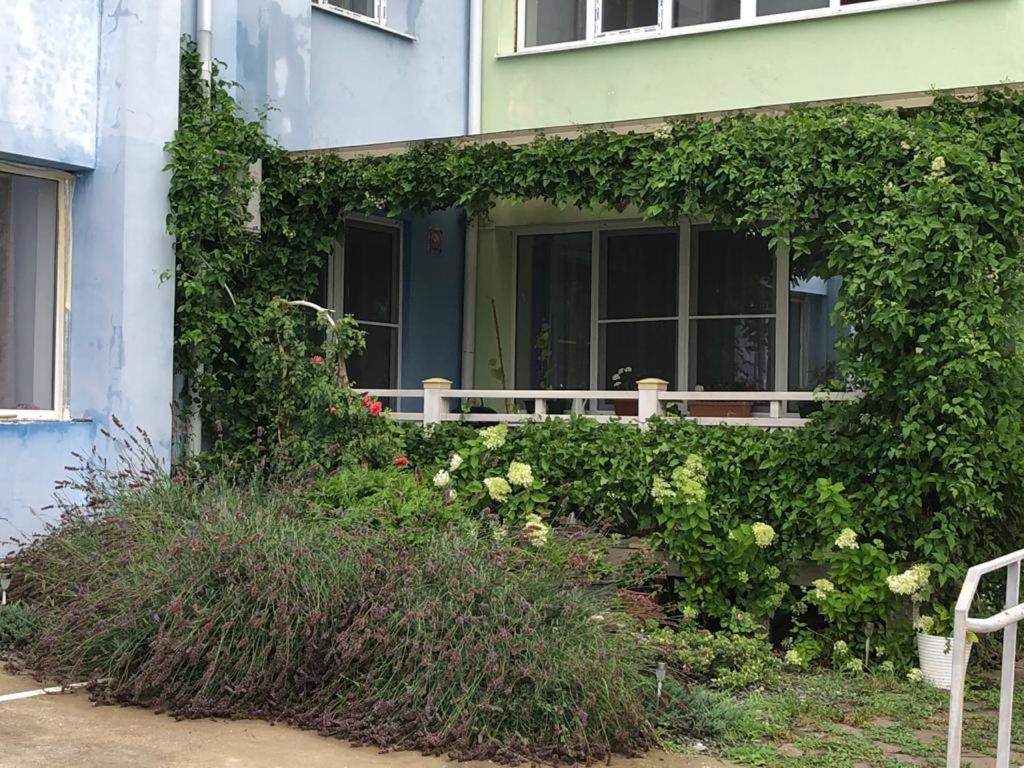 . Частный сектор Коттеджный поселок . Новомихайловский