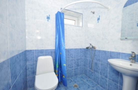 Стандарт. Пансионат "Виктория". Молочное