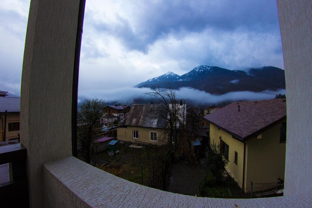 . Апарт-отель "Благодарный круглый год". Красная Поляна