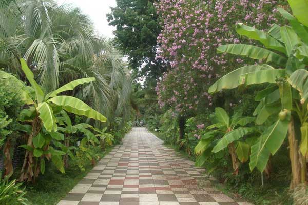 Сухумский ботанический сад. Фото взято с сайта: https://abkhazija.com/