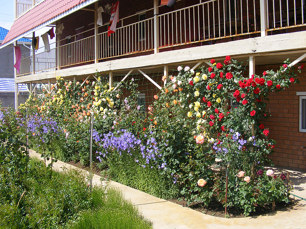 . Гостевой дом Аист. Саки