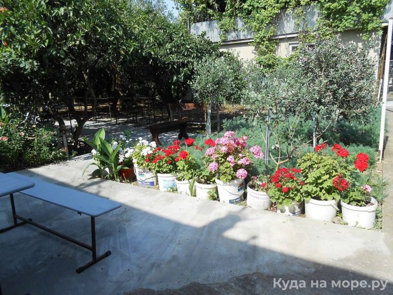 . Частный сектор «У Ануш». Пицунда