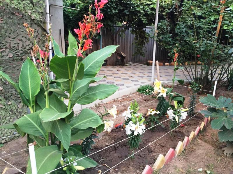 . Дом под ключ Коммунистическая 67 . Кучугуры