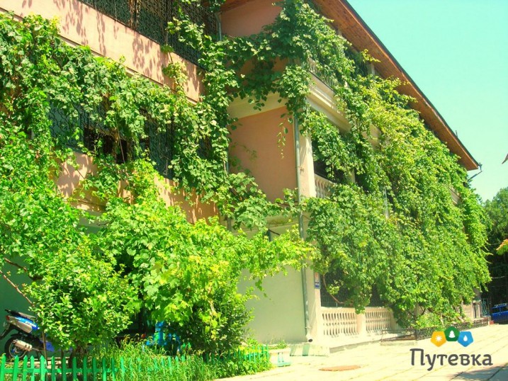 . Пансионат Малахит - Ялта. Ялта