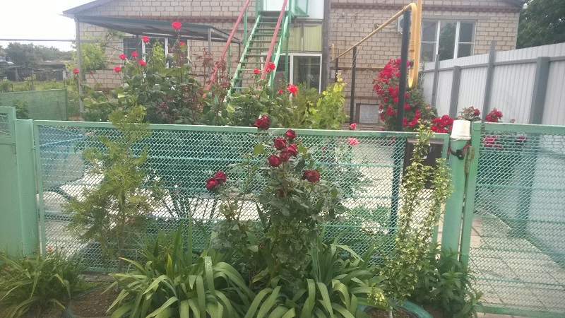 . Дом под ключ Зеленый 6/1. Кучугуры