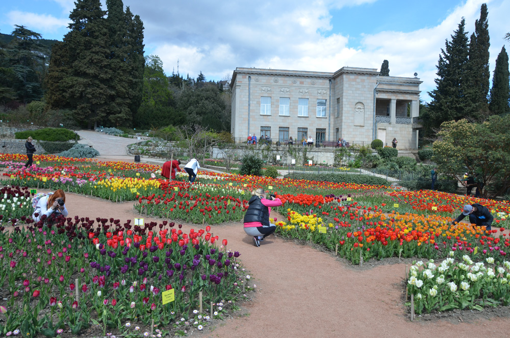 Никитский ботанический сад. Фото взято с сайта: http://nikitasad.ru/