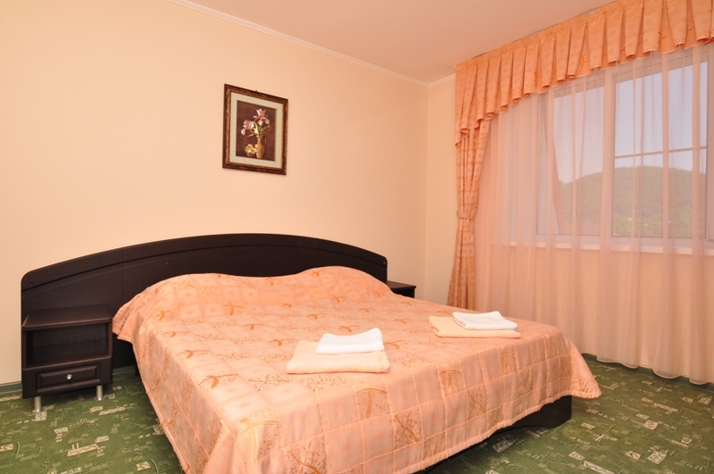 люкс 2-х комнатный . "Элита". Новомихайловский