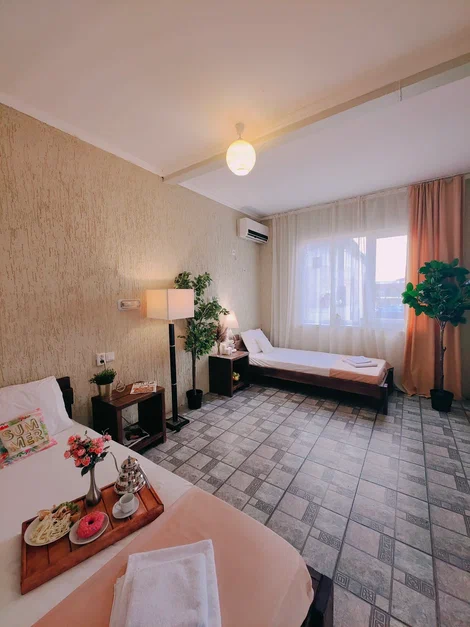 2-х местный стандарт с видом на территорию. Парк-отель Благовещенка. Благовещенская