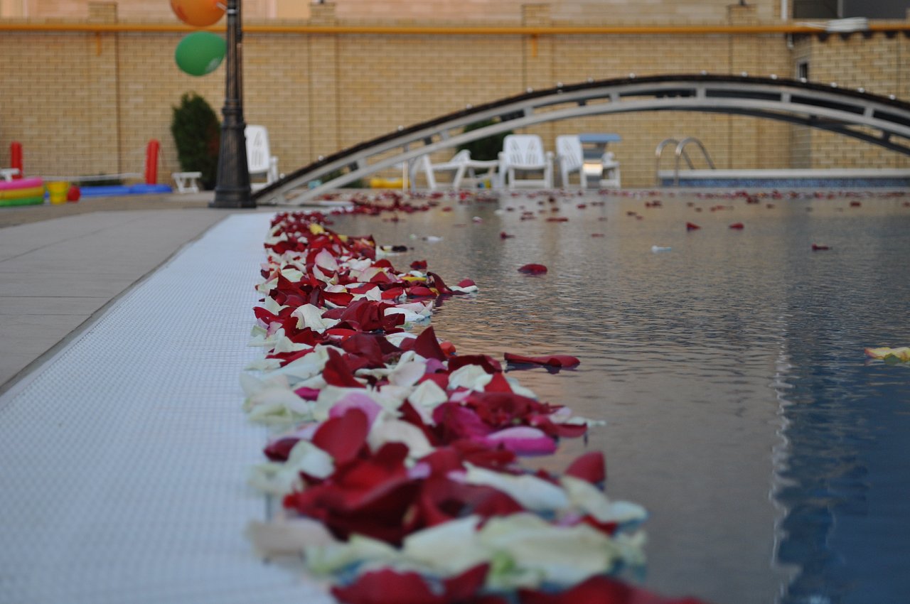 . Отель «ПОНТОС». Витязево