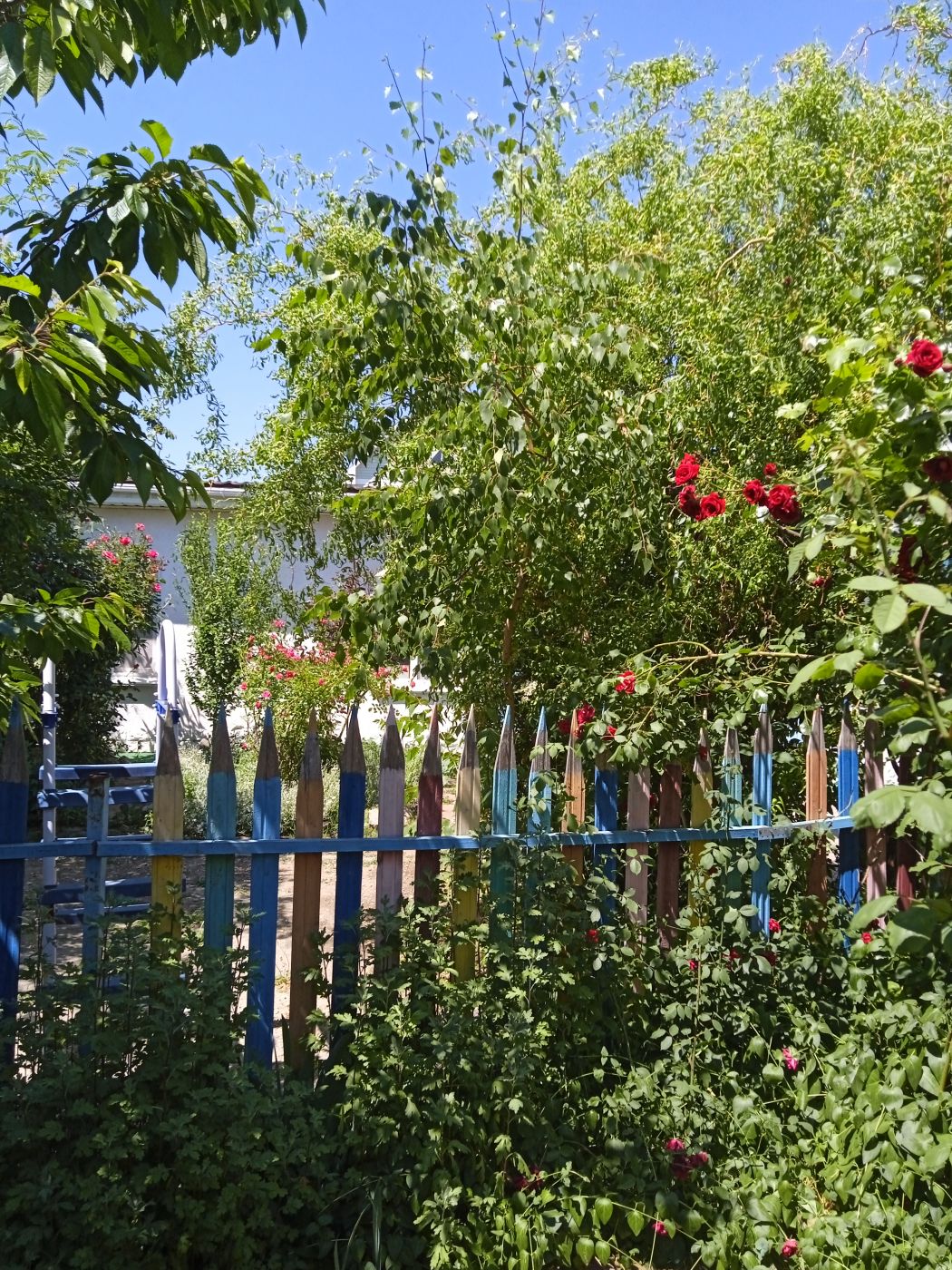 . Гостевой дом "Ирина". Крым - частный сектор