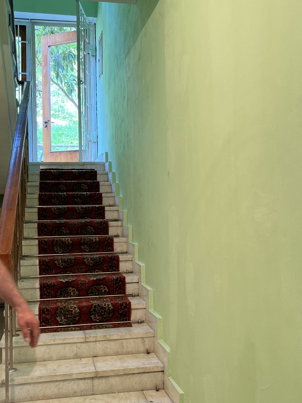 . Гостевой дом "Сосновый рай" . Гагра