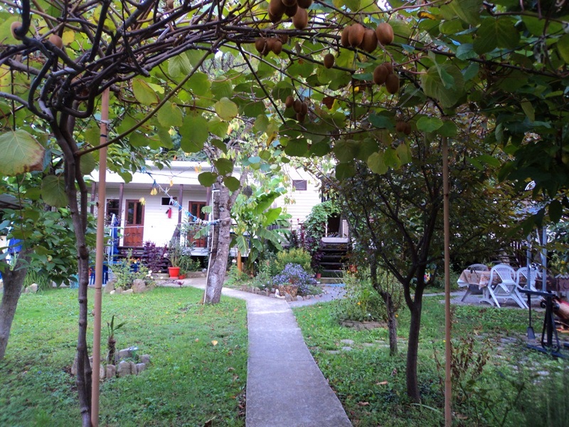 . Гостевой дом "Райский сад". Шепси