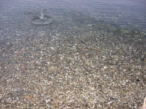 . Частный сектор Приморская 2 в Пицунде. Пицунда