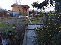 . Гостевой дом Лотос . Пицунда