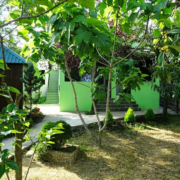 Апартаменты с индивидуальной кухней. Гостевой дом Светлана на Алычевом. Лоо