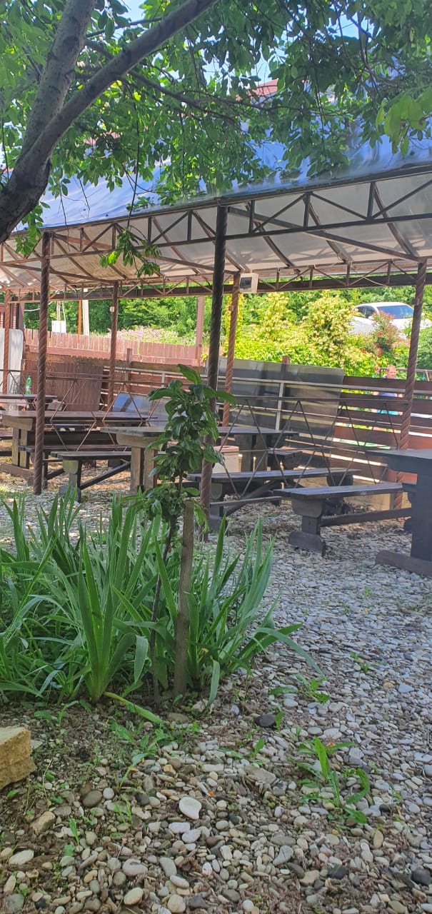 . Гостевой дом Дельфин - Новомихайловский. Новомихайловский