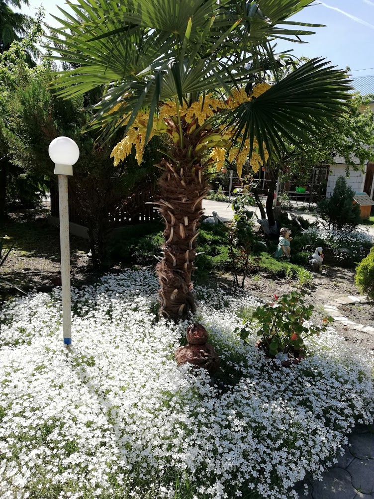 . Гостевой дом "Сибирячка". Ольгинка