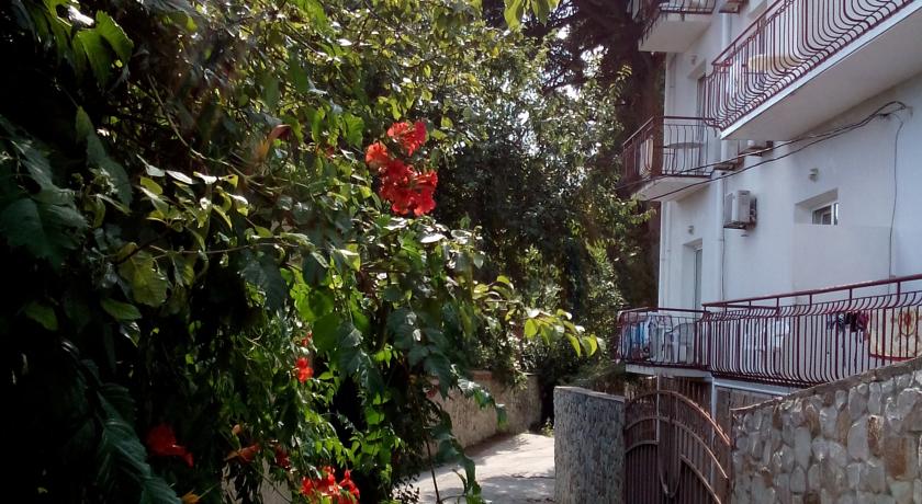 . Гостевой дом «Кедр-Восток». Алупка