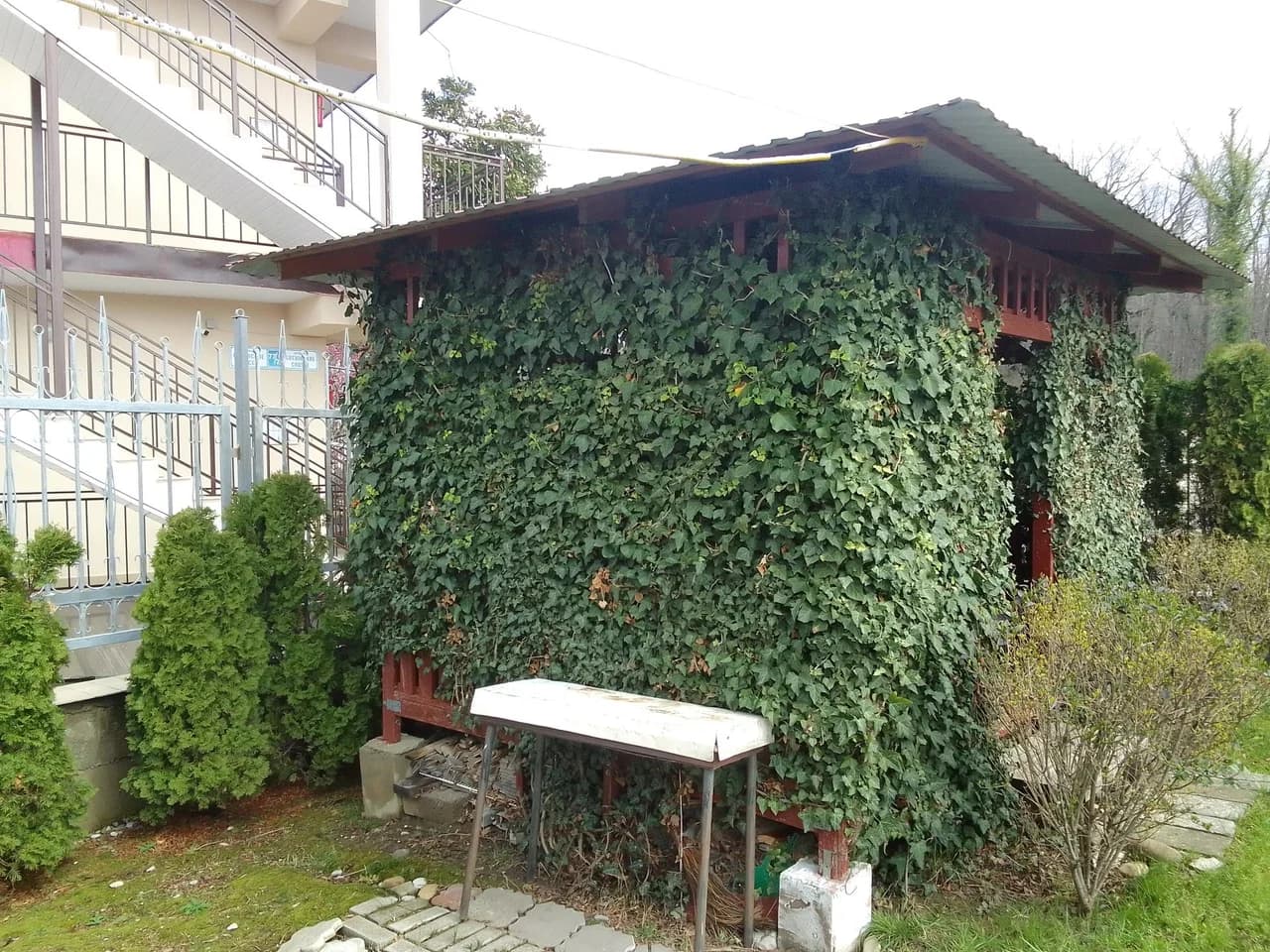 . Гостевой дом "Горная лаванда". Лазаревское