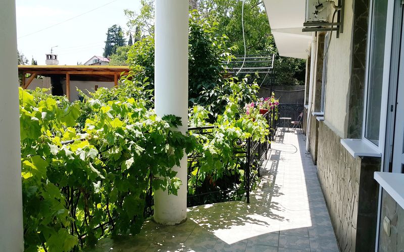 . Гостиница Три дельфина. Ялта