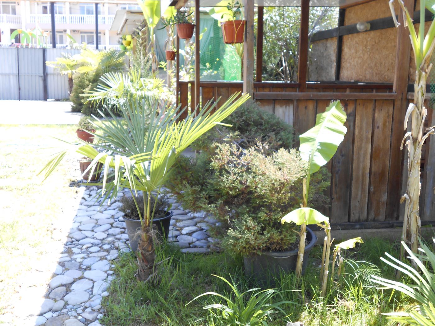 . Гостевой дом "На Главной". Якорная Щель