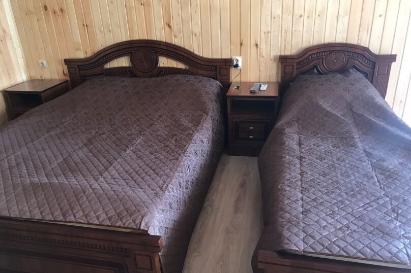 2, 3, 4-х, 5-ти местный «Люкс». Гостевой дом Олеандр. Гагра