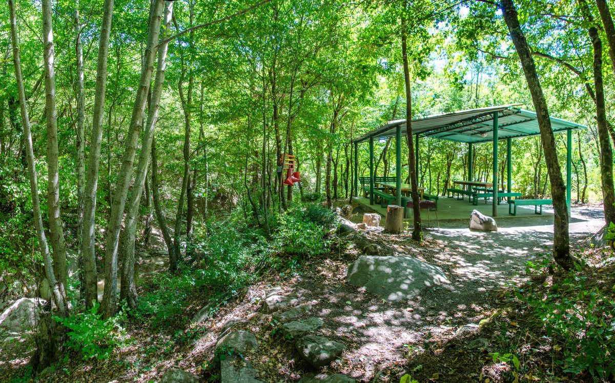 . Пансионат «Ай-Лия». Чайка