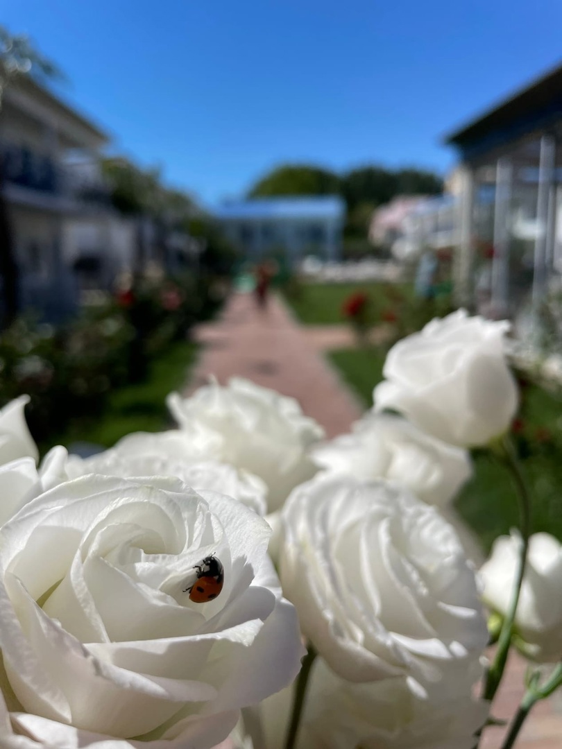 . База отдыха «Здоровье». Нижнее Джемете