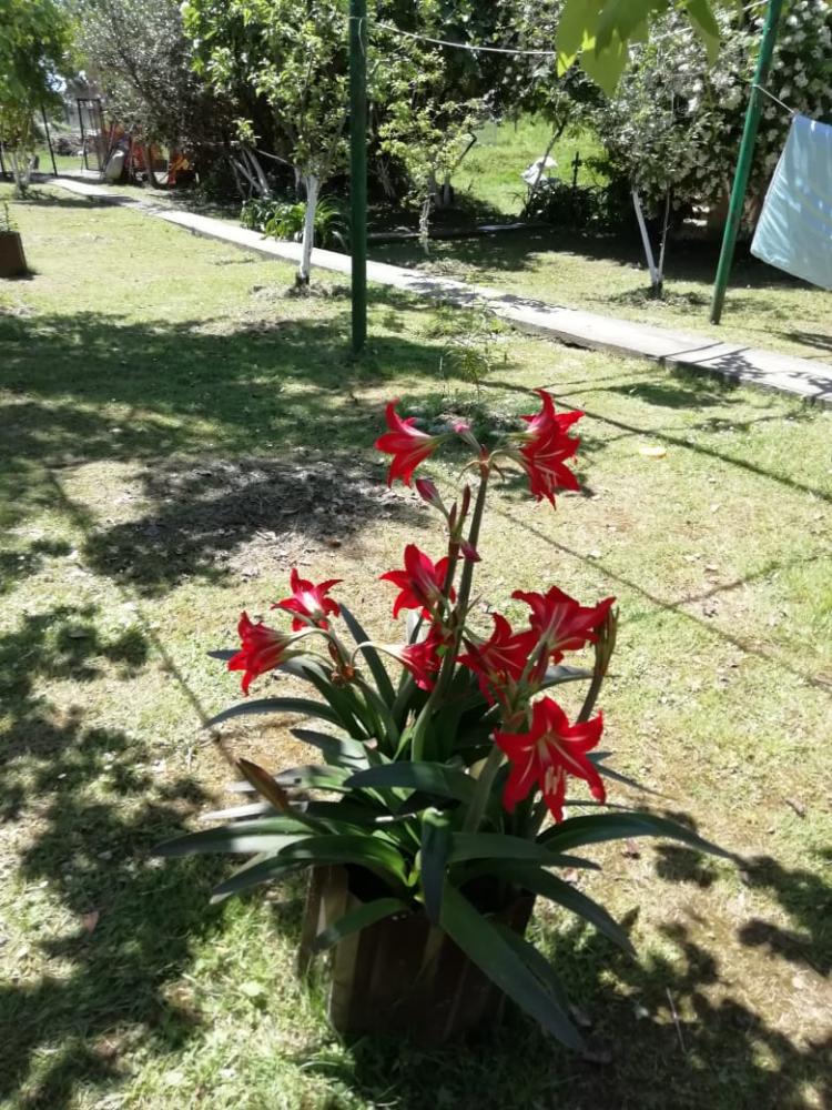 . Частный сектор Гостевой дом на ул.Чамагуа 7. Гудаута