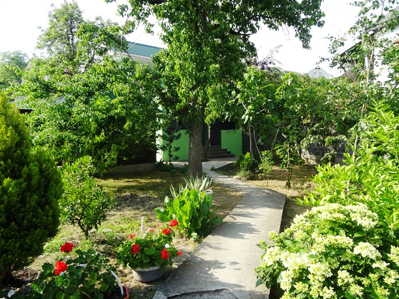 Апартаменты с индивидуальной кухней. Гостевой дом Светлана на Алычевом. Лоо