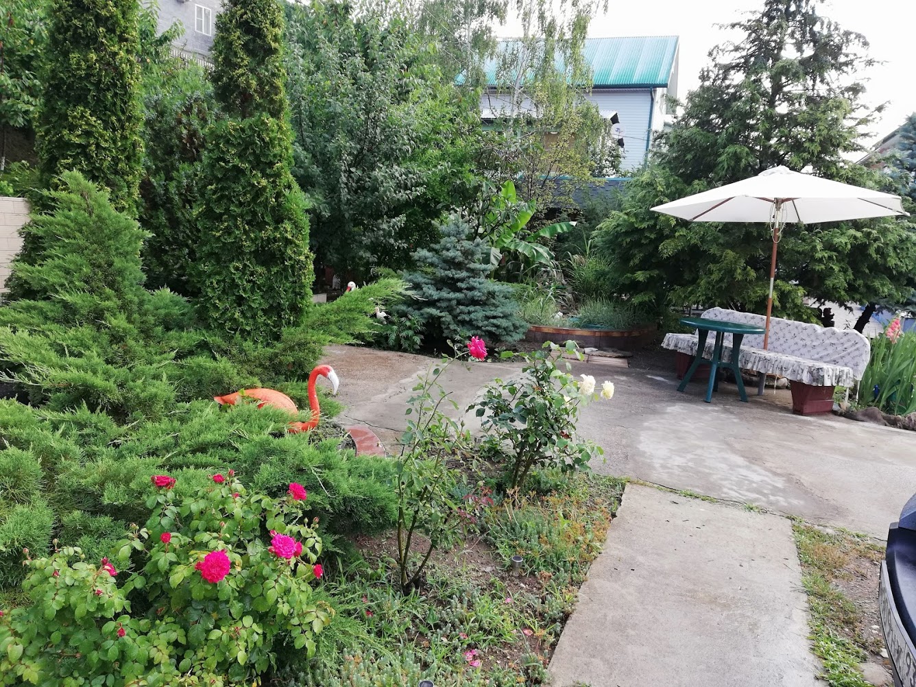 . Гостевой дом "Сибирячка". Ольгинка