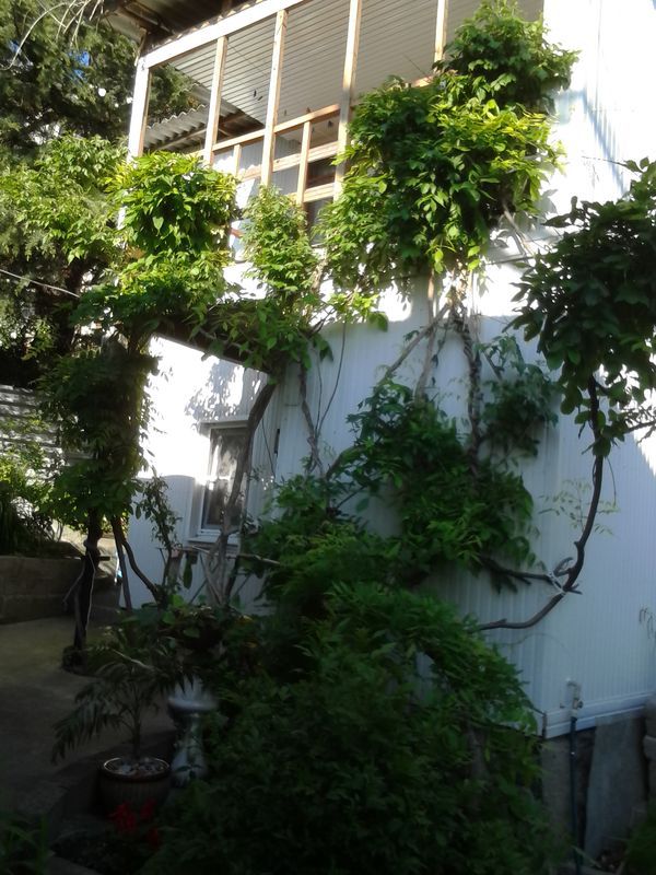 . Частный сектор Авроры 1/3. Аше