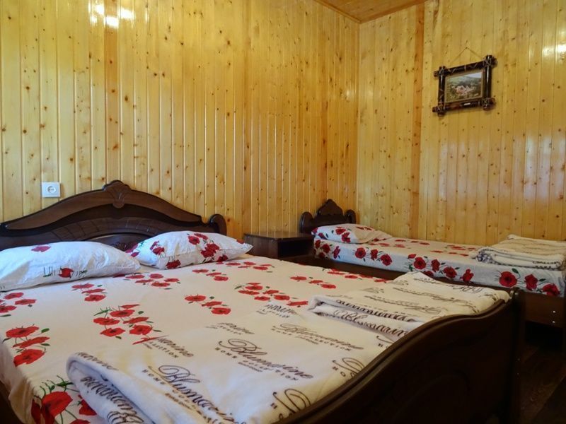 . Частный сектор "Мандаринка". Пицунда . Частный сектор "Мандаринка". Пицунда