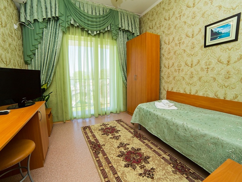 Одноместный стандарт. Санаторий "Рябинушка". Анапа