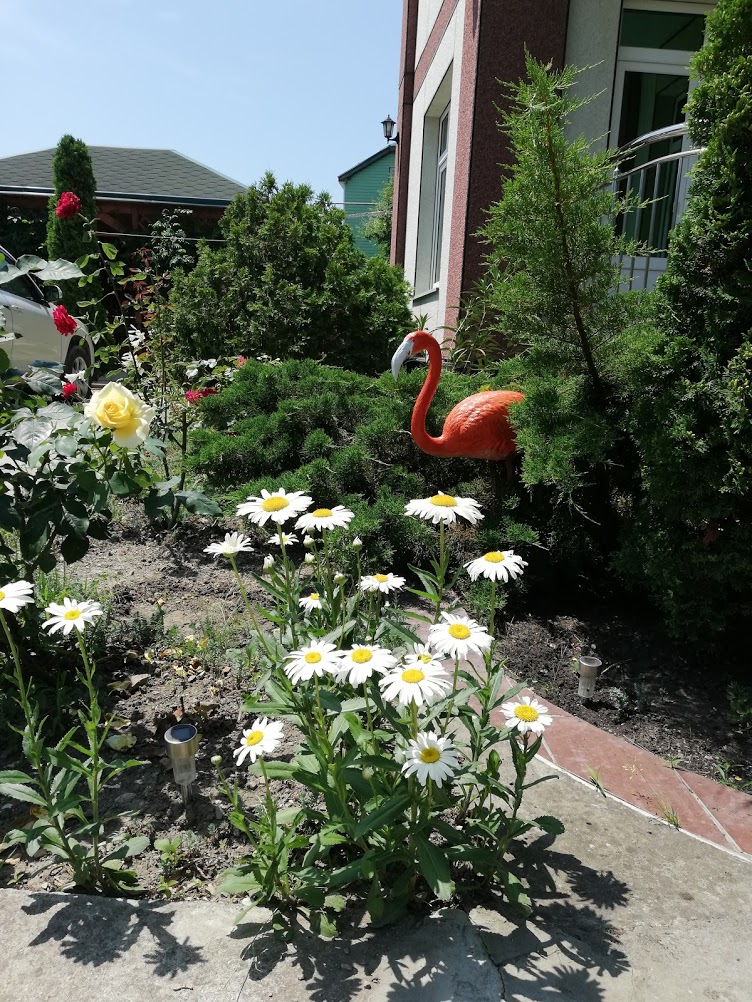 . Гостевой дом "Сибирячка". Ольгинка