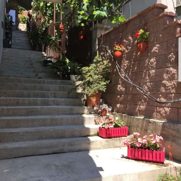 . Гостевой дом София-Виктория. Гагра