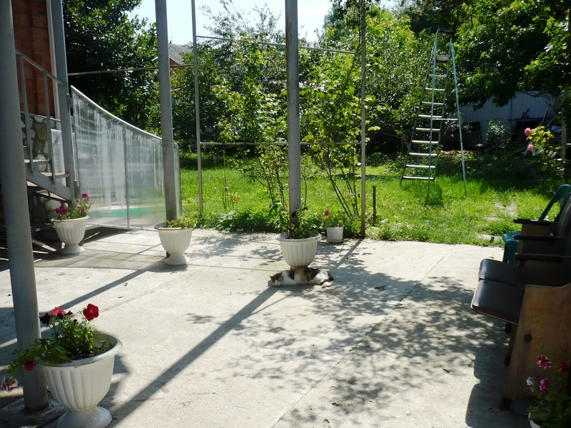 . Гостевой дом "Усадьба Александр" . Шепси