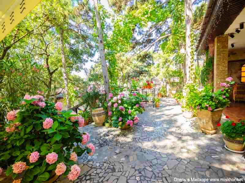 . Отель Вилла Сосновый бор. Гаспра