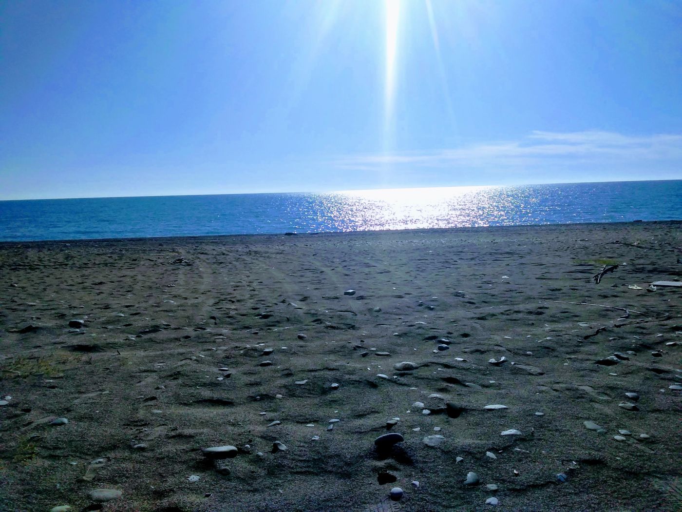 . Гостевой дом Мимоза. Пицунда