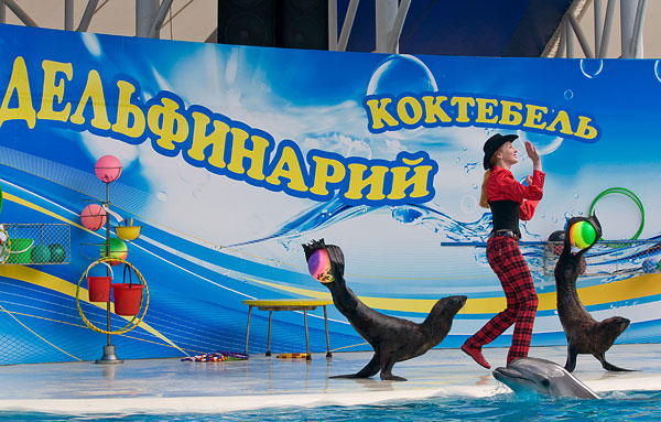 Дельфинарий Коктебель. Фото взято с сайта: http://koktebel-delfin.com/