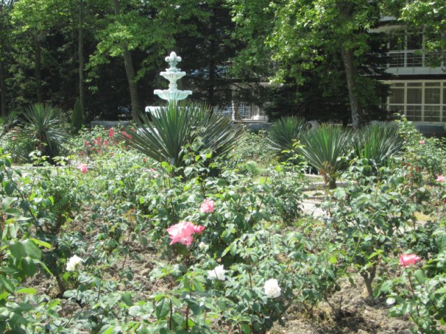 . Учебно-оздоровительная база «Горизонт»    . Ольгинка