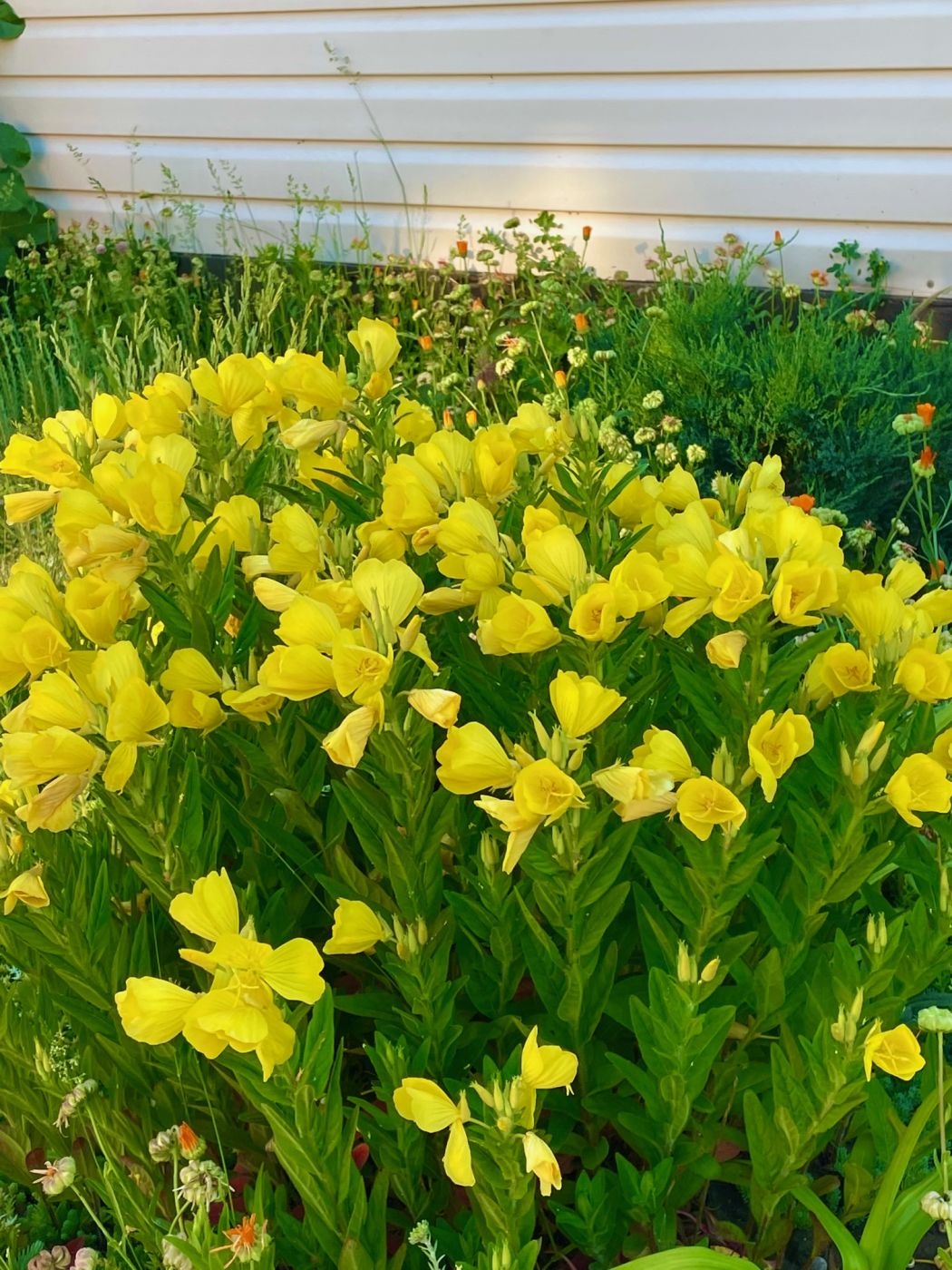 База отдыха 